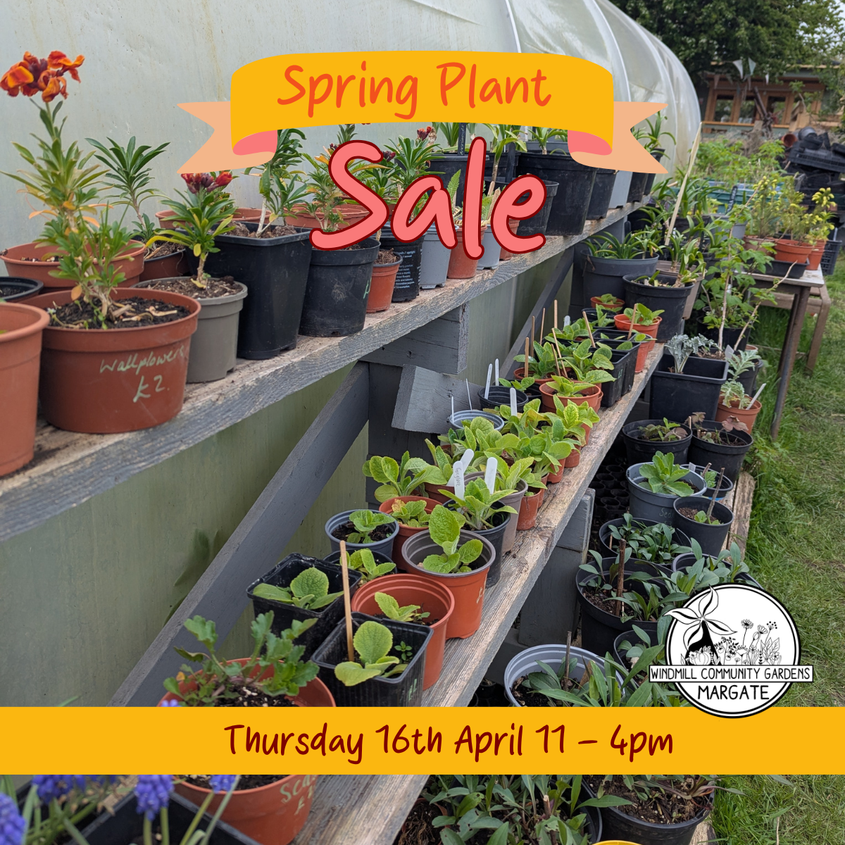 Spring Plant Sale